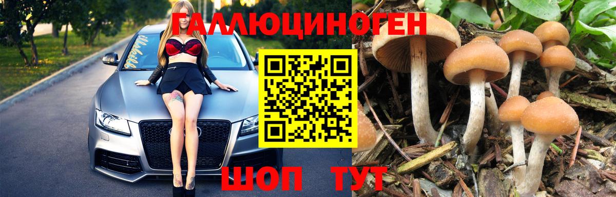 где найти   Псилоцибиновые грибы MAGIC MUSHROOMS  Вход с VPN  Волжск 